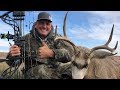 My FIRST Mule Deer hunt {Full Video} ARCHERY