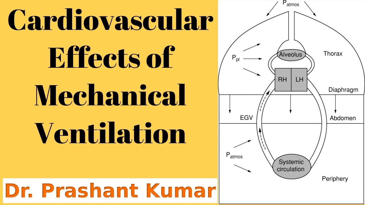 Cardiovascular Effects of Mechanical Ventilation - YouTube