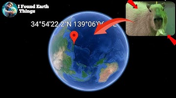 I Found Capybara Spot🦫 On Google Earth 🌎 Google Maps #googleearth #CapybaraSpot #googlemaps