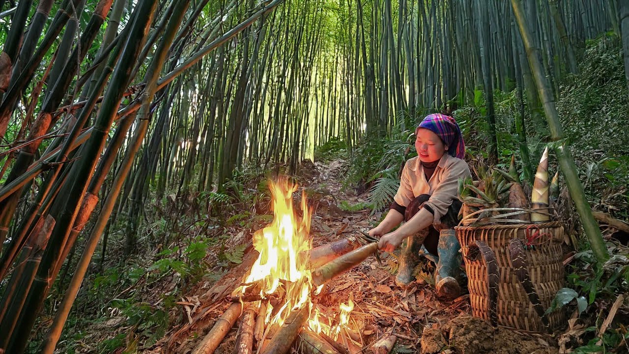 Выживание глубине леса! дунг охотится за свежими побегами бамбука и готовит их натуральным способом.