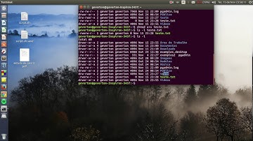 Alterando permissões de arquivos e diretórios LINUX - Géverton Tomazini