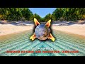 Oilei Adi Au Rui Galili REMIX 2025 Oilei Adi Au Rui Galili REMIX 2025