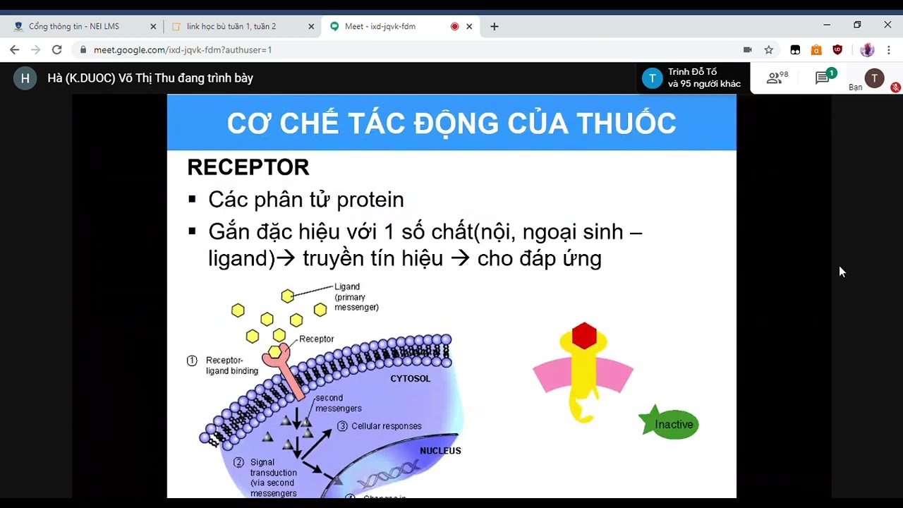 DƯỢC LÝ 1 LT - DƯỢC LÝ ĐẠI CƯƠNG - NTTU - CÔ HÀ
