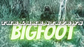 The Lake Stevens Bigfoot (with pictures)   •solved•