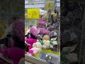 奥から持ってこれるかな?#ゲームセンター #ゲーセン #プライズ獲得 #クレーンゲーム #ufoキャッチャー #clawmachine #shorts #viralshorts @