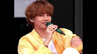 Taehyung Gitme Kal Diyemedim