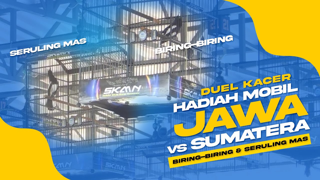Duel KACER BIRING-BIRING🔥🔥Seruling Mas dan SINGA MEDAN Berebut Mobil