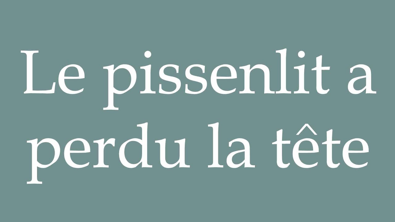 how-to-pronounce-le-pissenlit-a-perdu-la-t-te-the-dandelion-has