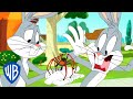 Looney Tunes en Français 🇫🇷 | Craignez-vous les araignées ? | WB Kids