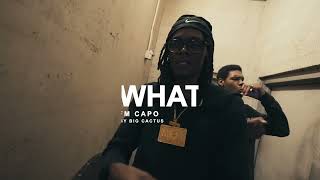 MFM Capo x Tree2y - Bout Whatever (Official Video) Dir : @TheValleyClub