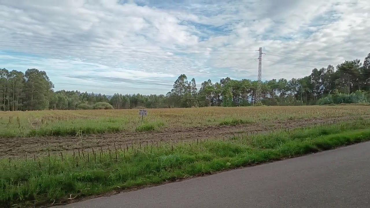 Inmobiliaria Rivero, Finca rústica en Merin, zona Gozón (Asturias) 20.000 m2