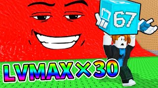 全てのブレインロットがLvmaxになりましたロブロックスNaotin