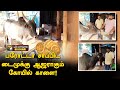        parotta  nellai kalai  nellai  pt madurai