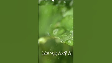 سورة العاديات بصوت خاشع – استمع وارتقِ بتلاوة مؤثرة تملأ القلب بالخشوع!