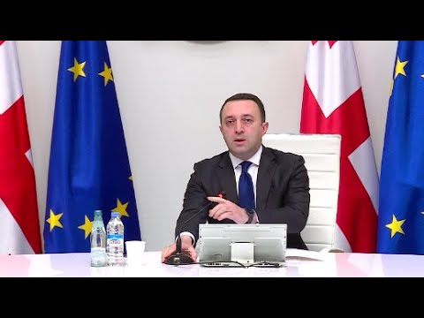 ღარიბაშვილის განცხადებები მთავრობის სხდომაზე