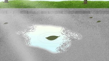 Falling leaf animation