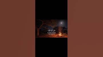 #قرآن #قران_كريم #تلاوة_خاشعة #محمد_صديق_المنشاوي #صلوا_على_النبي #المنشاوي #foryou