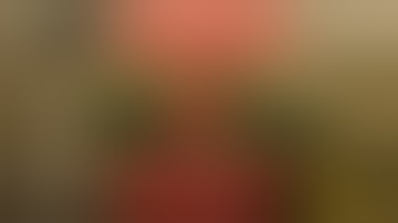 ScrOG Screen Build!!!