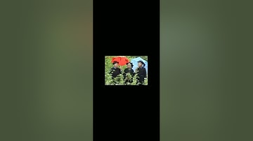 nùng trung quốc hát Giao Duyên cực hay là đây