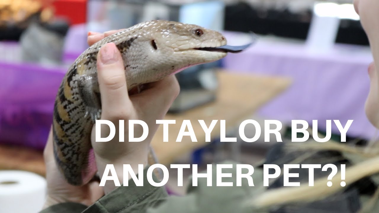 REPTILE EXPO VLOG Greater Philadelphia Expo Center YouTube