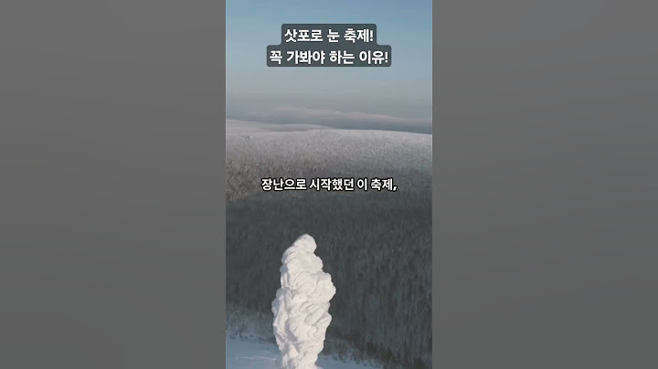 삿포로 눈 축제! 꼭 가봐야 하는 이유!