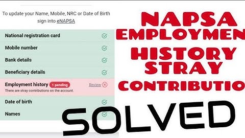 Napsa employment history (contribution stray)