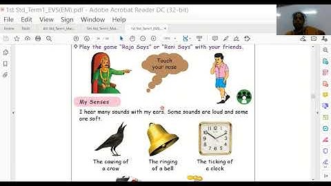 1st standard  Environmental Science L- 2. My wonderful Body  (Term- 1)