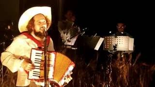 Video thumbnail of "Vinicio Capossela - Pena de l'alma (live)"