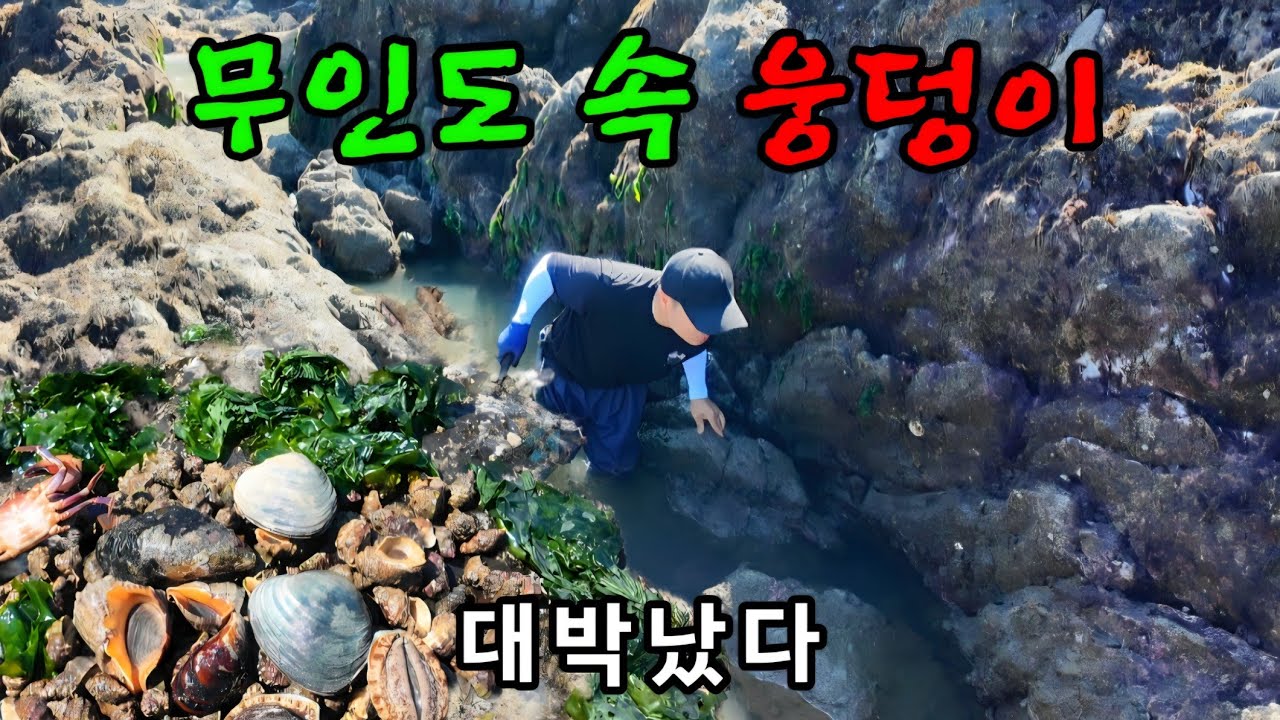 혼자 남겨진 무인도에 고급진 식재료 가득