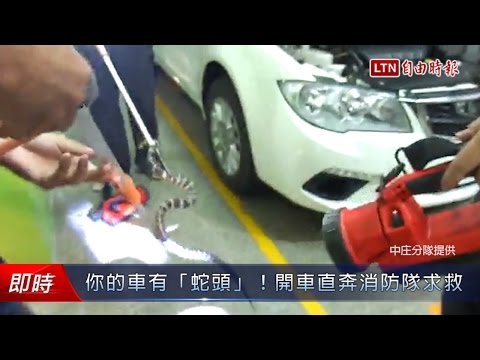 你的車有「蛇頭」！開車直奔消防隊求救