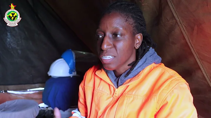 The Role of Environmental Health Officers During Disease Outbreak