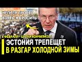 Прибалты ИСТЕРЯТ! Эстония ПОЛЗЁТ к РФ.. Путин РАЗВОДИТ РУКАМИ!