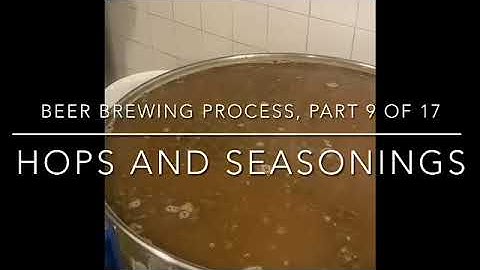 Beer brewing process in a micro brewery (part 9 of 17) Hops and seasonings