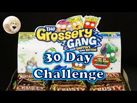 The Grossery Gang 30 Day Challenge FULL BOX of Crusty Chocolate Bars Blind Bag Surprise Moose Toys