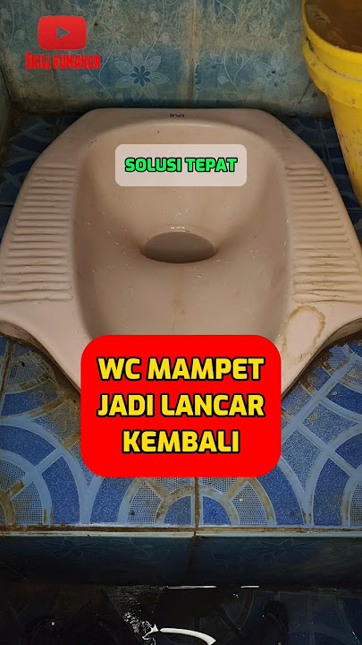 Tips supaya wc mampet jadi lancar kembali