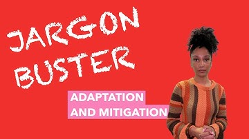 Jargon Buster: What is adaptation and mitigation?