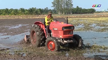 Nước lũ rút, nông dân tập trung sản xuất vụ Đông Xuân 2025 - 2026 | TayNinhTV