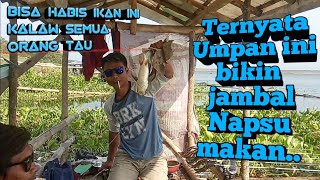 Cara Membuat Umpan Jambal/Patin ❗Langsung Test di jatiluhur