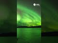 Northern lights in the skies above Alaska #shorts