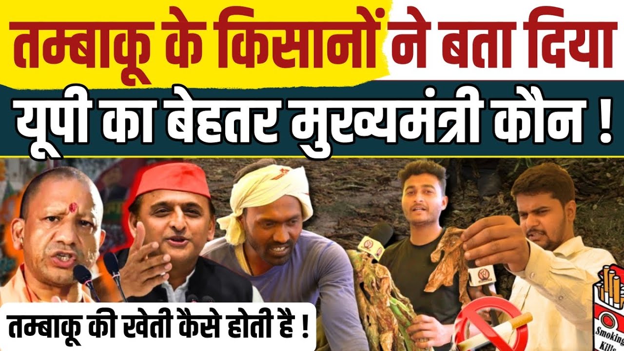 जानिए कैसे होती है तम्बाकू की खेती किसानों ने बताया किसकी बनेंगी 2027 में सरकार । Akhilesh Yadav ।