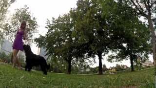 Elliot having fun at the park by ElliotDMDS 721 views 11 years ago 2 minutes, 4 seconds