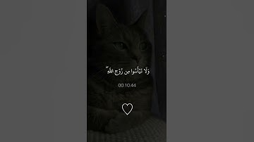 لا تيأسوا من روح الله/قران كريم❤️/راحه نفسيه🥺