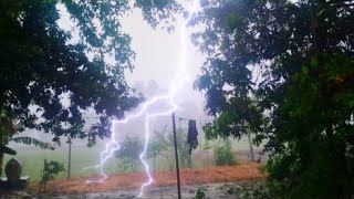 আমার গ্রামেএতো ভয়ঙ্কর⚡বৃষ্টি আরবাজ পড়ে না দেখলে বিশ্বাস হবে না