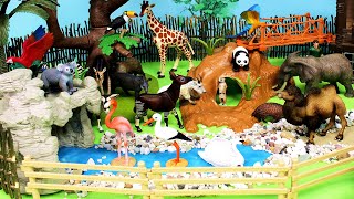 Animal Care Center Diorama Set for Safari Animal Figurines