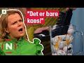 Ingrid Gjessing Linhave går i baklås når hun skal redde egg | Kongen befaler | TVNorge