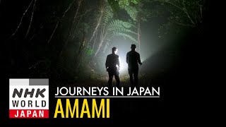 The Wild Life in OneofaKind Amami  Journeys in Japan