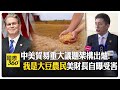 中美貿易談判與習川會