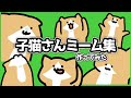 子猫さんが猫ミーム作った