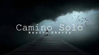 Neutro Shorty - Camino Solo (Audio Oficial)