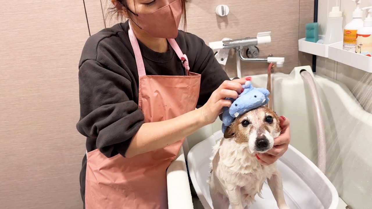 水道管破裂したけどシャンプー強行しました